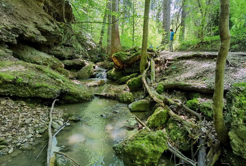 Maisinger Schlucht - wildromantische Schlucht nahe München