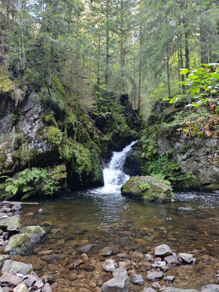 Ravennaschlucht Wasserfall - der Kleine Ravennafall